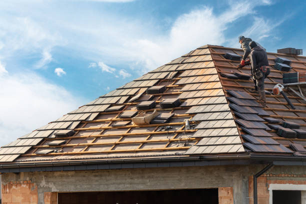 Best Roof Maintenance and Cleaning  in Bountiful, UT